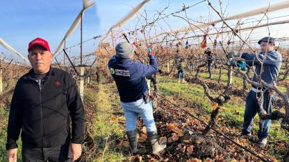 ASMALAR YENİ SEZONA HAZIRLANIYOR