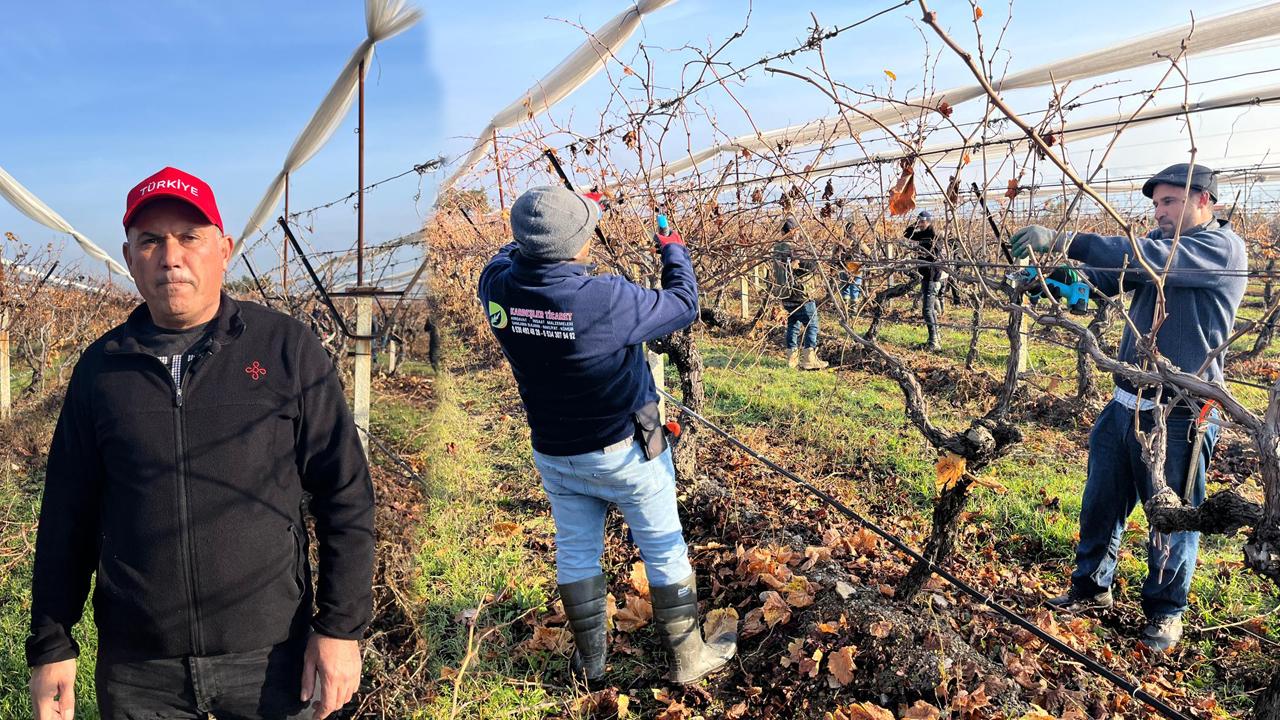 ASMALAR YENİ SEZONA HAZIRLANIYOR