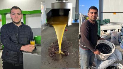 KARA MEYVE ALTIN SIVIYA DÖNÜŞÜYOR