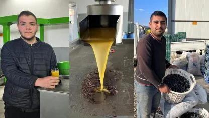 KARA MEYVE ALTIN SIVIYA DÖNÜŞÜYOR