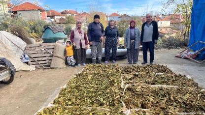 TÜTÜNLER BASILMAYA BAŞLADI