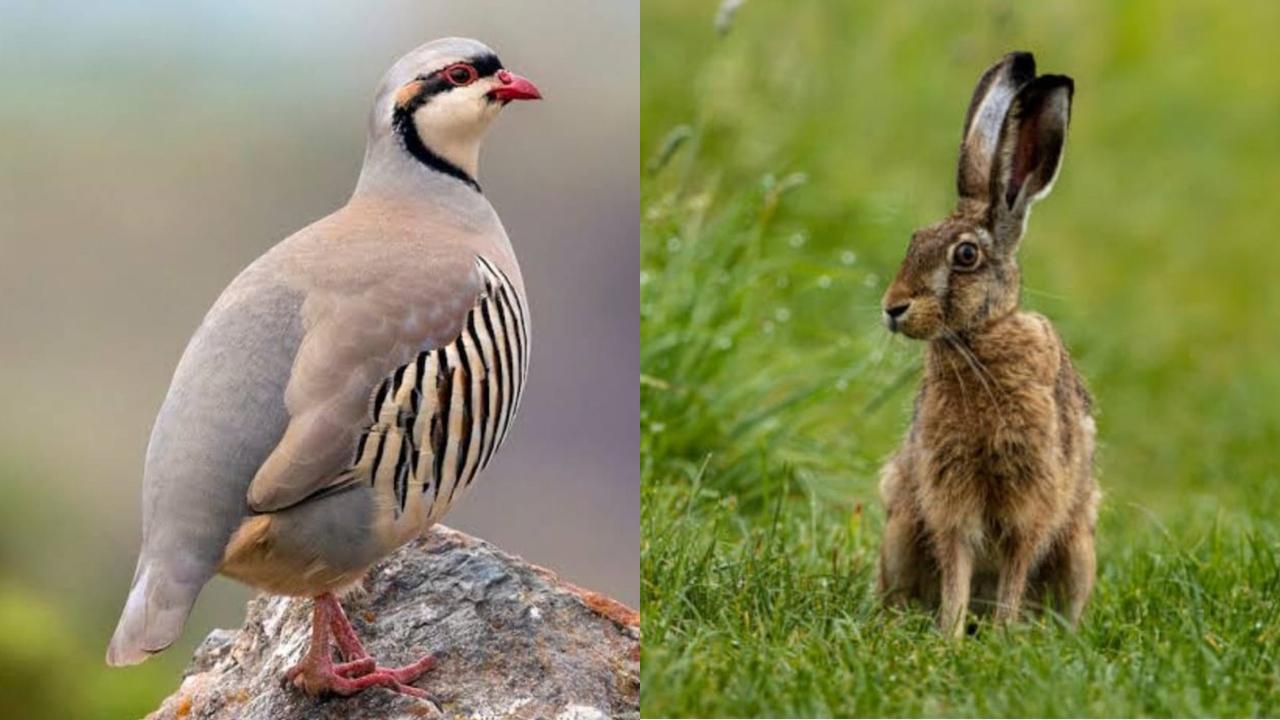 BULDAN KARA AVCILAR DERNEĞİ BAŞKANLIĞINDAN DUYURU