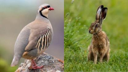 BULDAN KARA AVCILAR DERNEĞİ BAŞKANLIĞINDAN DUYURU