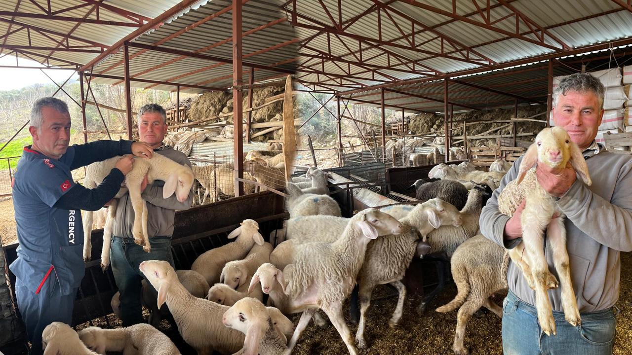 KUZULAR DÜNYAYA “MERHABA” DEDİ