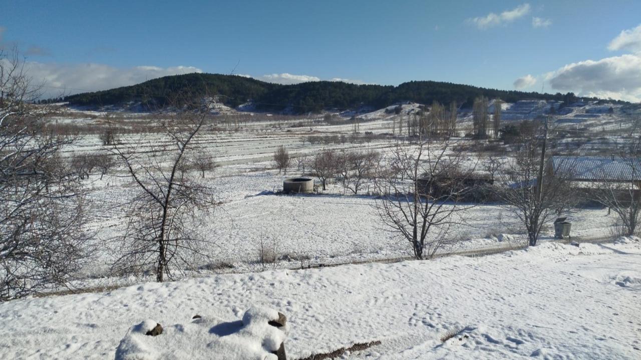 YÜKSEKLERE YAĞAN KAR SEVİNDİRDİ