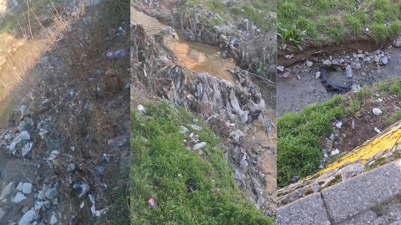 DEREYE ÇÖP ATMAYALIM!