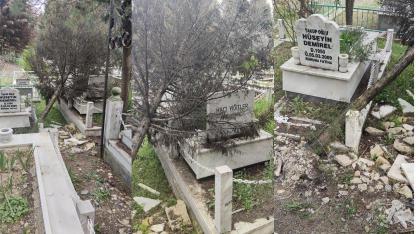 YIKILAN AĞAÇLAR KABİRLERE ZARAR VERDİ