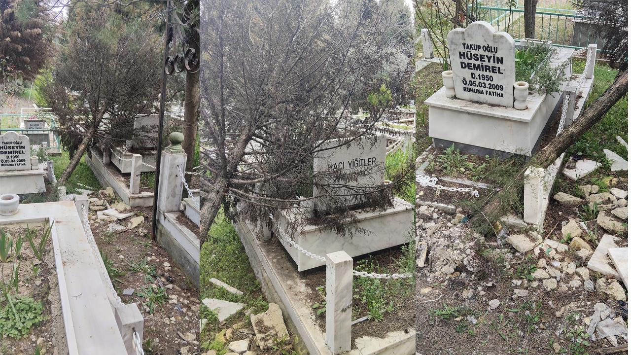YIKILAN AĞAÇLAR KABİRLERE ZARAR VERDİ