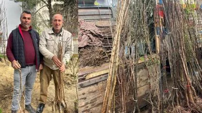 BULDAN TOPRAKLARI FİDANLARLA BULUŞUYOR