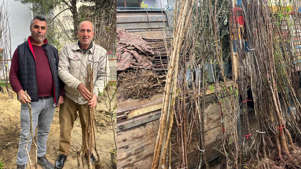 BULDAN TOPRAKLARI FİDANLARLA BULUŞUYOR