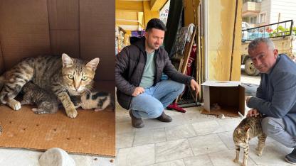 İŞYERİNDE DOĞAN KEDİ YAVRULARINA ESNAFLAR SAHİP ÇIKTI