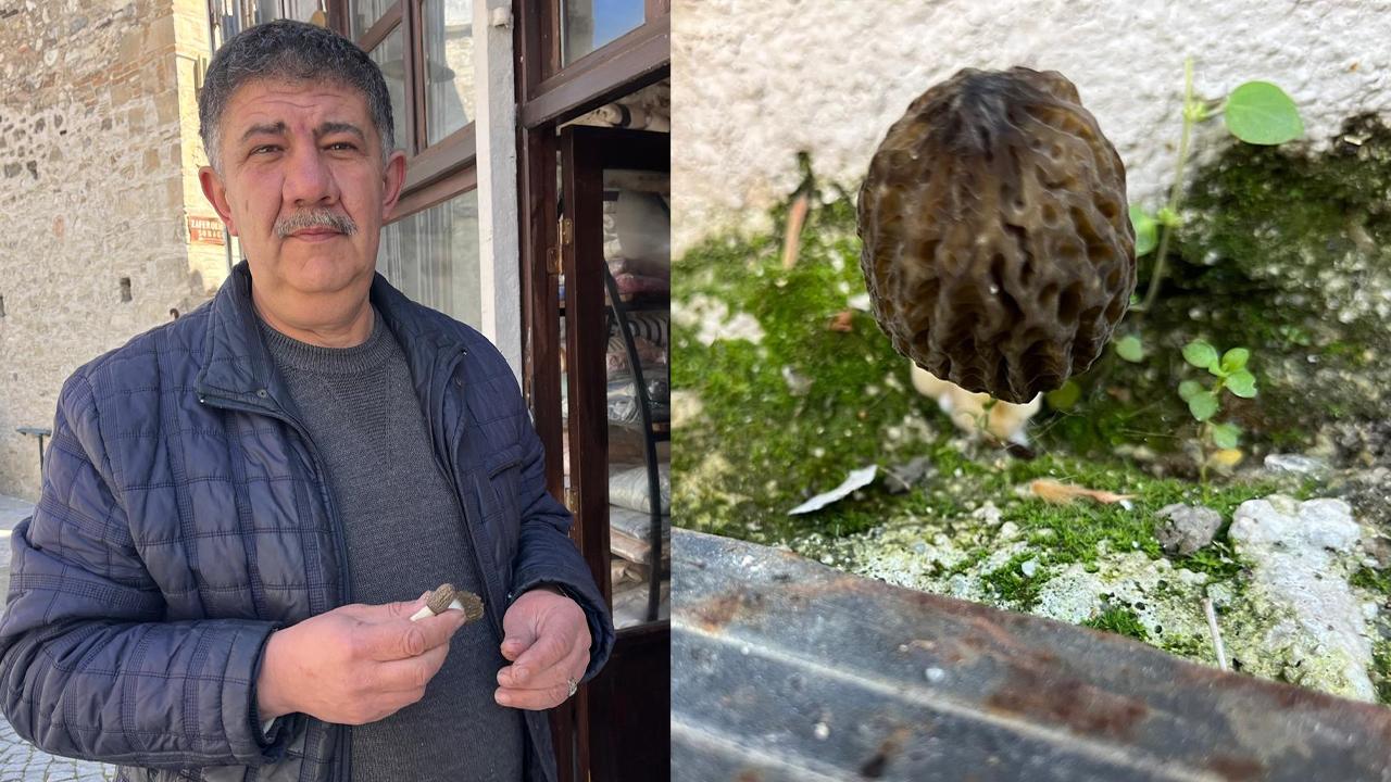 TARİHİ TEKSTİL CADDESİNDE KUZU GÖBEĞİ YETİŞTİ