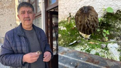 TARİHİ TEKSTİL CADDESİNDE KUZU GÖBEĞİ YETİŞTİ