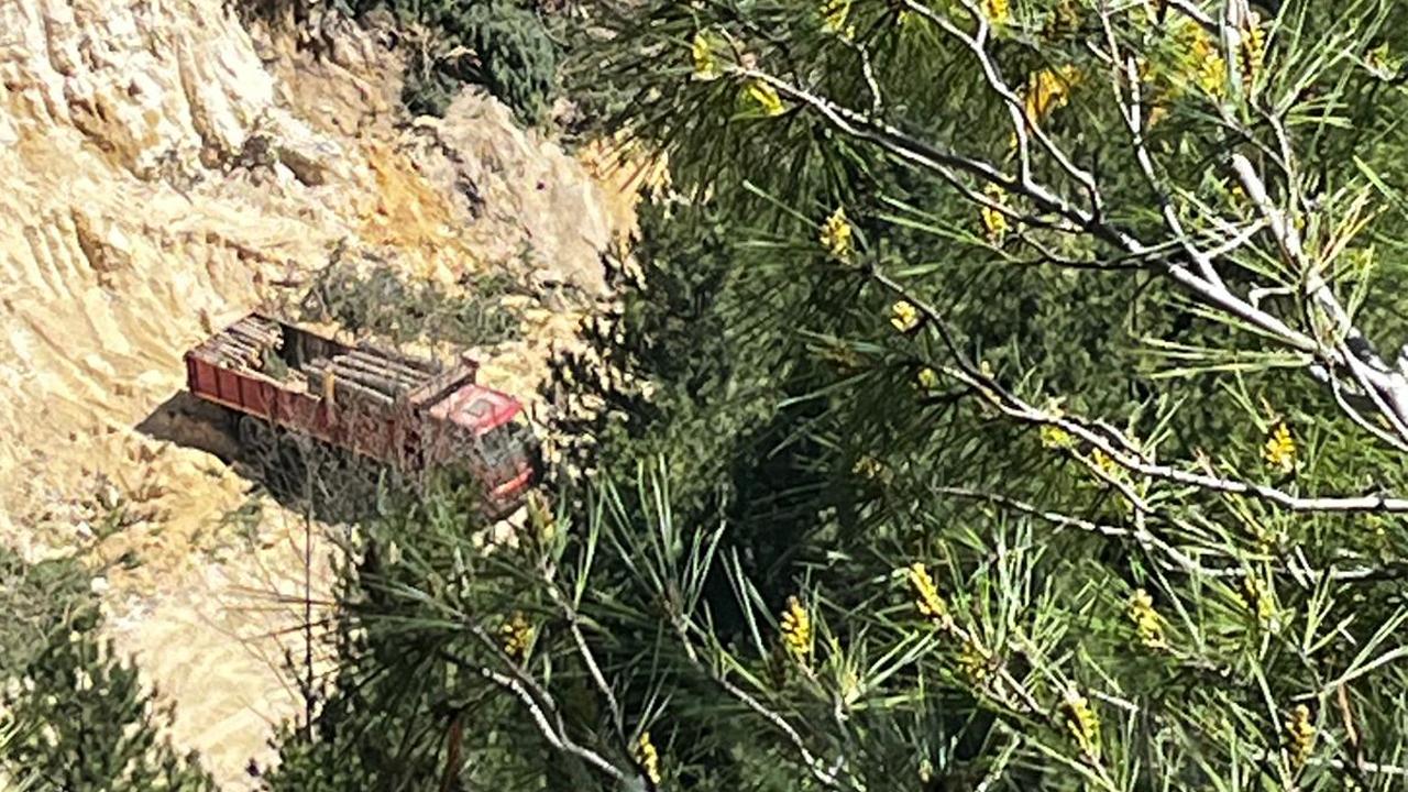 ZİFTLİKTE AĞAÇ KESİMİ BAŞLADI