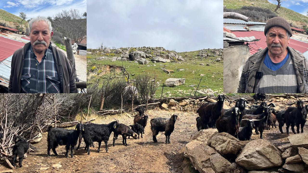 KEÇİ ÜRETİMİNDE AZALMA VAR
